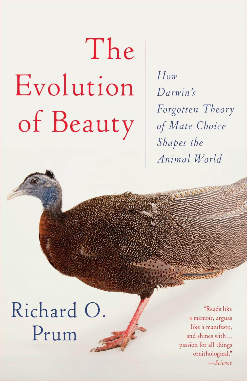 Big bigCover of The Evolution of Beauty