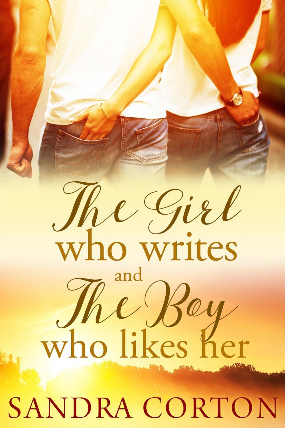 Big bigCover of The Girl Who Writes And The Boy Who Likes Her