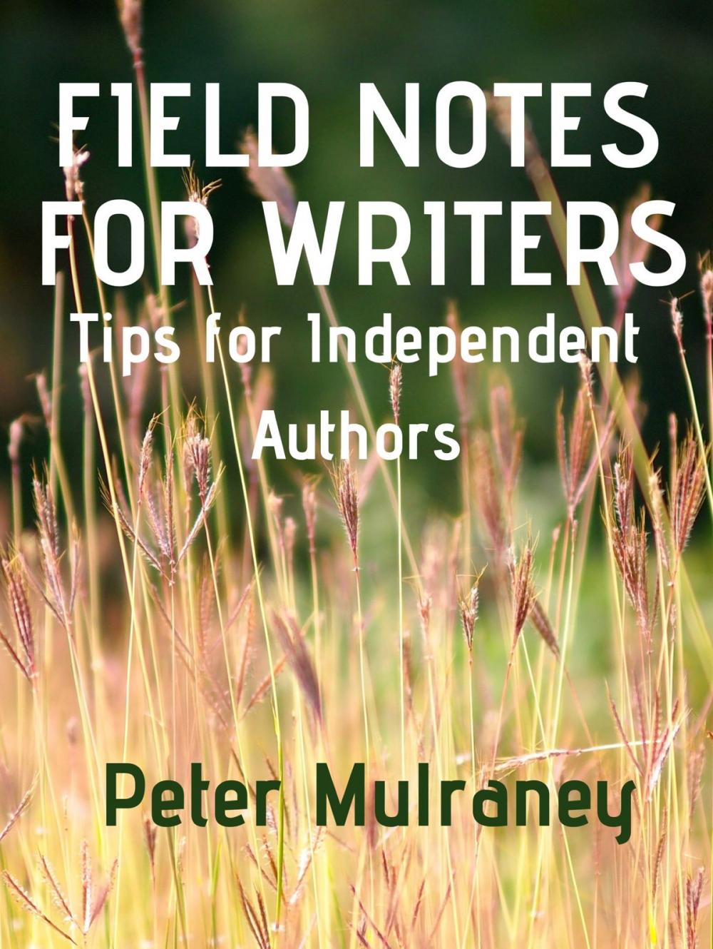 Big bigCover of Field Notes for Writers