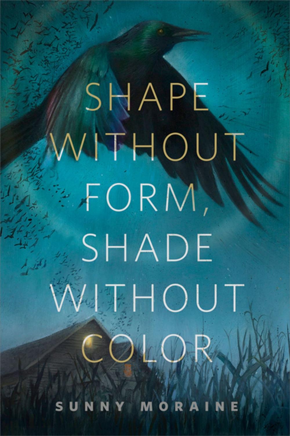 Big bigCover of Shape Without Form, Shade Without Color