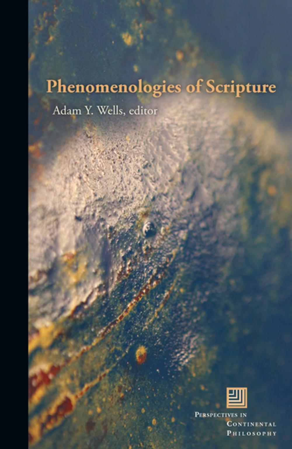 Big bigCover of Phenomenologies of Scripture