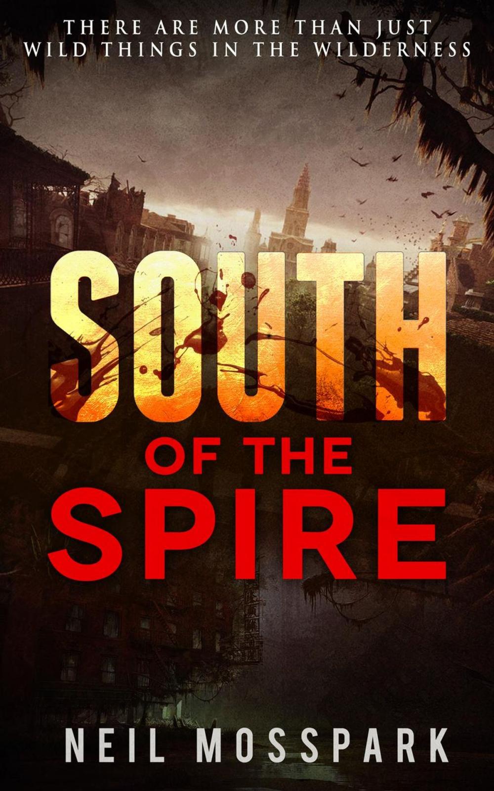 Big bigCover of South of the Spire