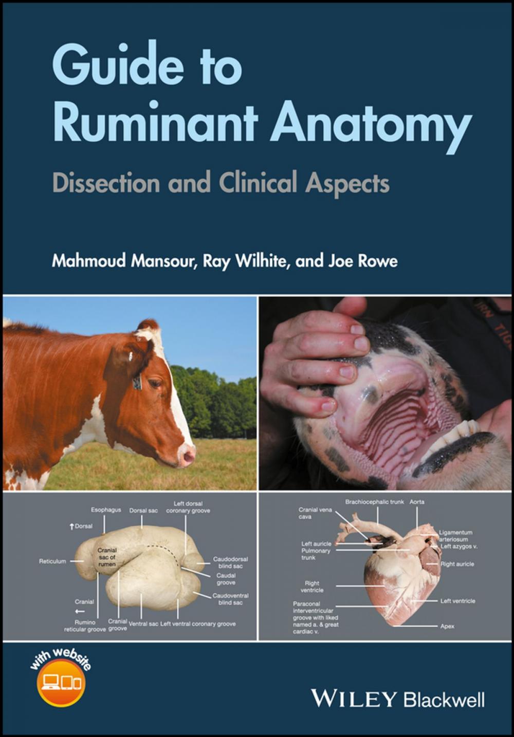 Big bigCover of Guide to Ruminant Anatomy