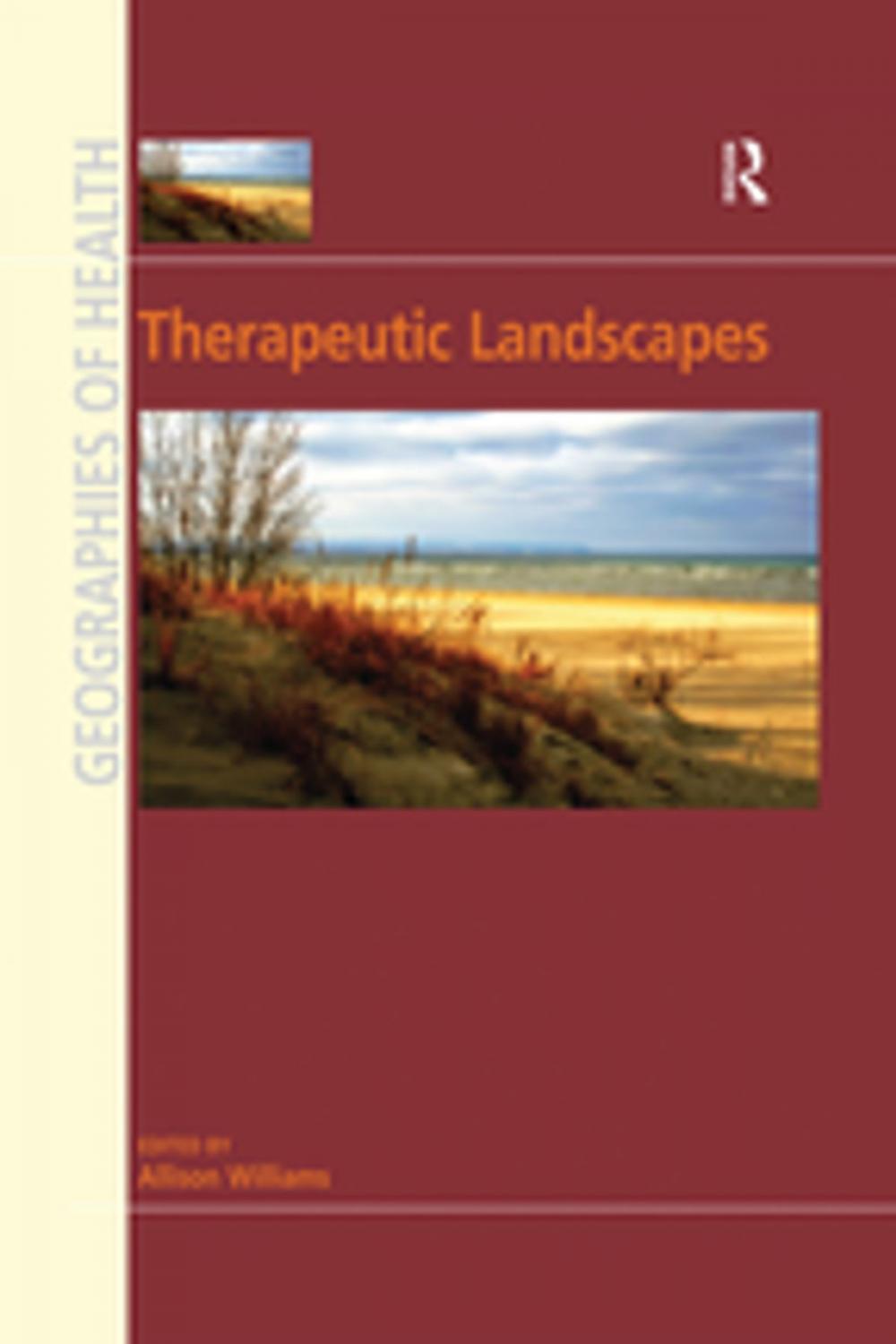 Big bigCover of Therapeutic Landscapes