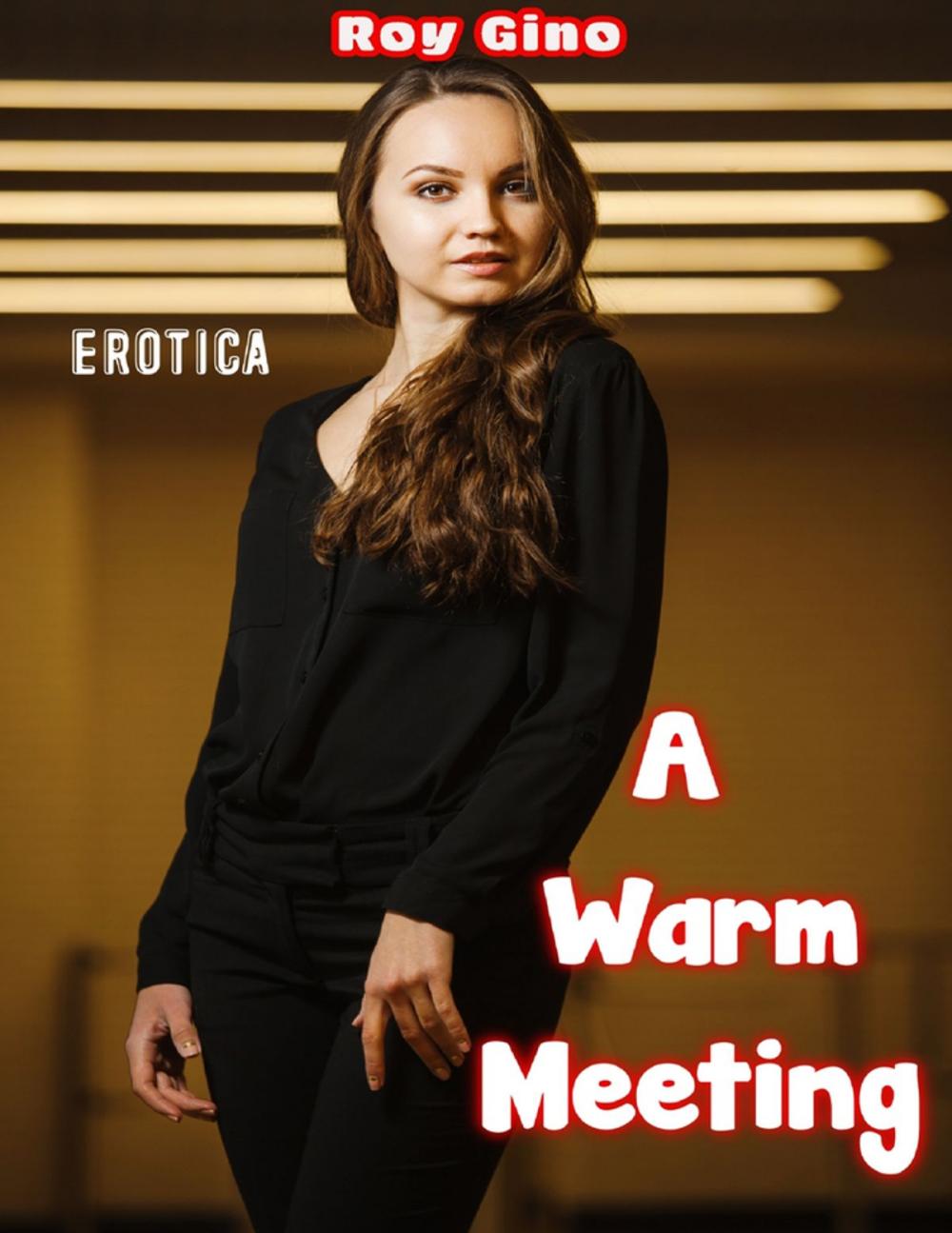 Big bigCover of Erotica: A Warm Meeting