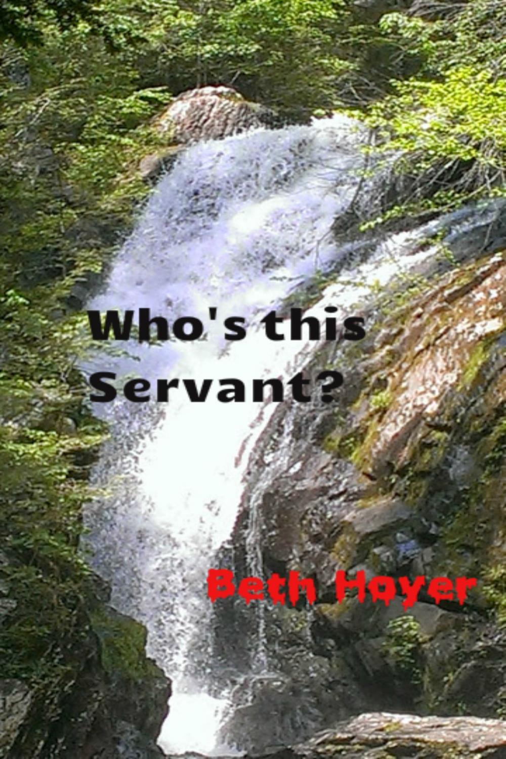 Big bigCover of Who's this Servant?