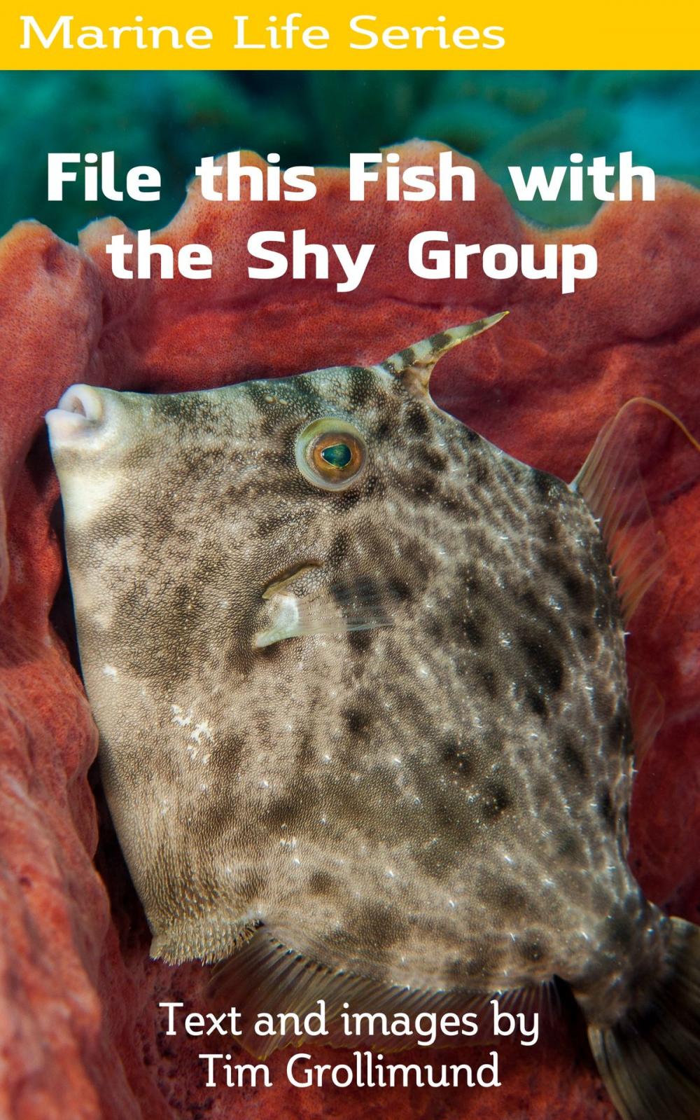Big bigCover of File this Fish with the Shy Group