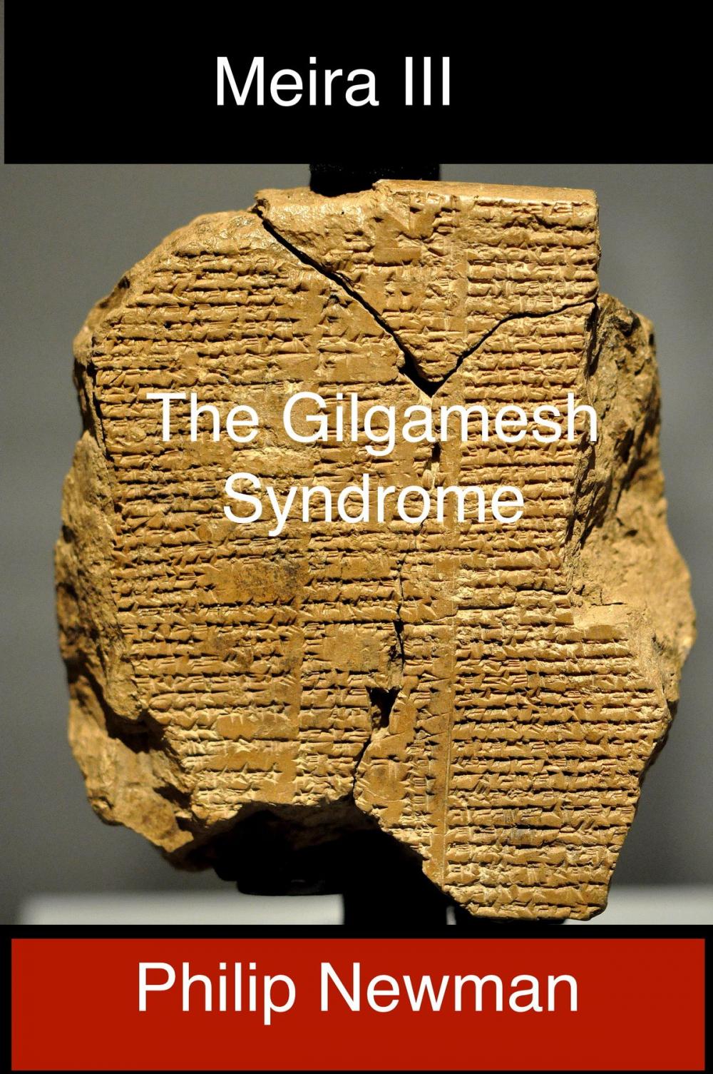 Big bigCover of Book III Meira and the Gilgamesh Syndrome
