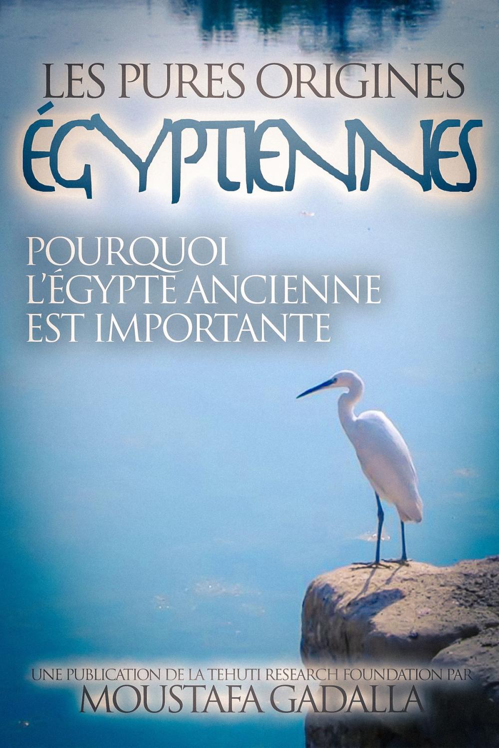 Big bigCover of Les Pures Origines Égyptiennes: Pourquoi l’Égypte Ancienne est Importante