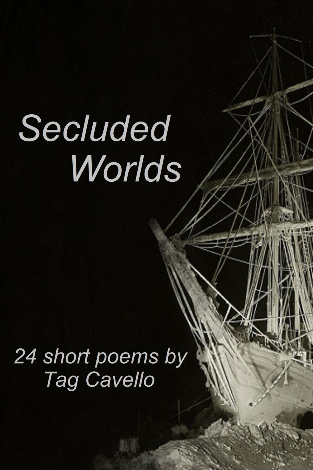 Big bigCover of Secluded Worlds