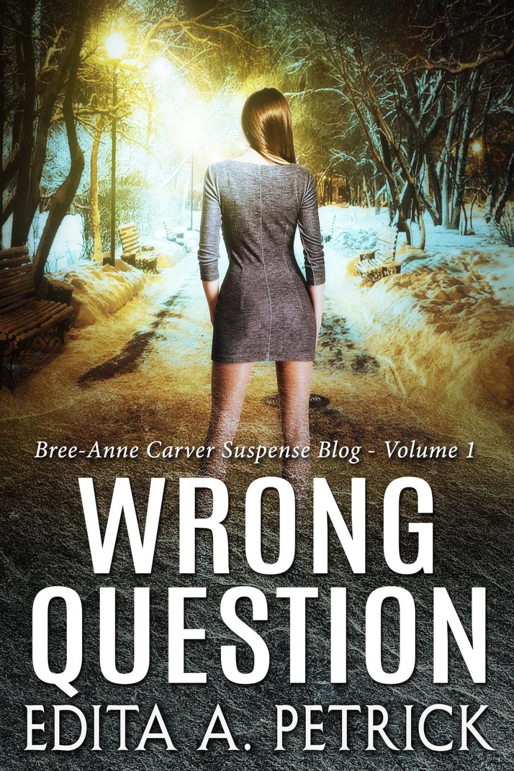 Big bigCover of Wrong Question