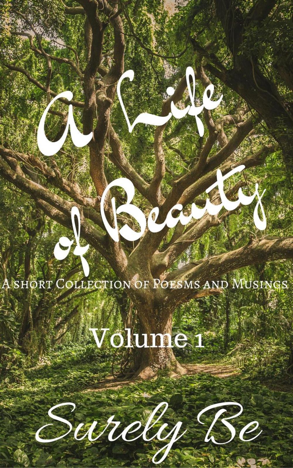 Big bigCover of A Life of Beauty Volume 1