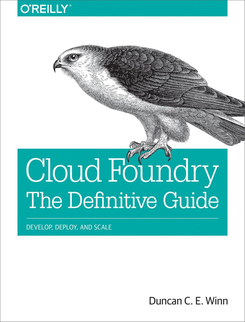 Big bigCover of Cloud Foundry: The Definitive Guide