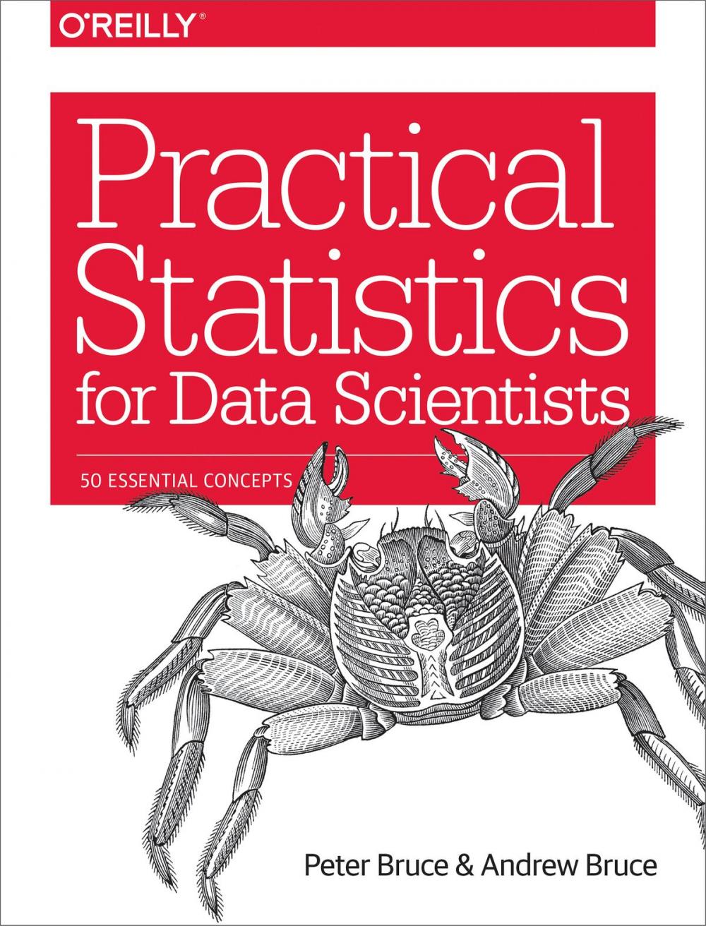 Big bigCover of Practical Statistics for Data Scientists