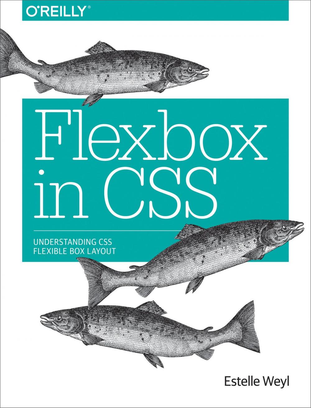 Big bigCover of Flexbox in CSS