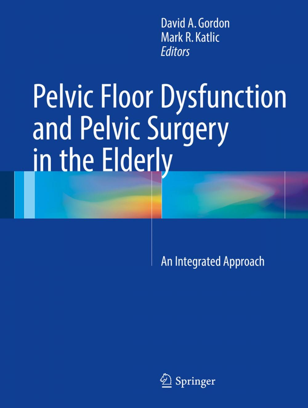 Big bigCover of Pelvic Floor Dysfunction and Pelvic Surgery in the Elderly