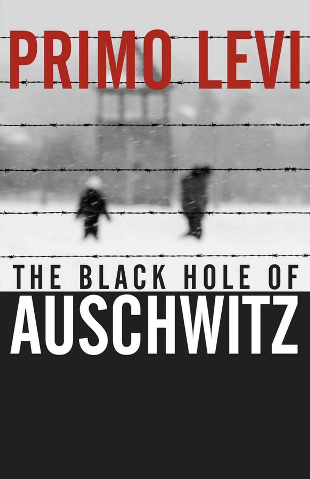 Big bigCover of The Black Hole of Auschwitz