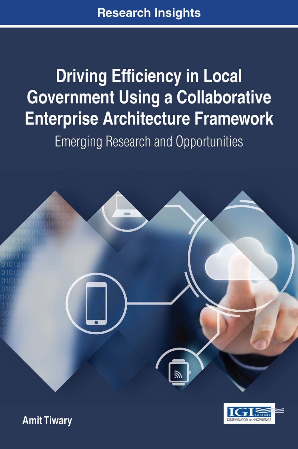 Big bigCover of Driving Efficiency in Local Government Using a Collaborative Enterprise Architecture Framework