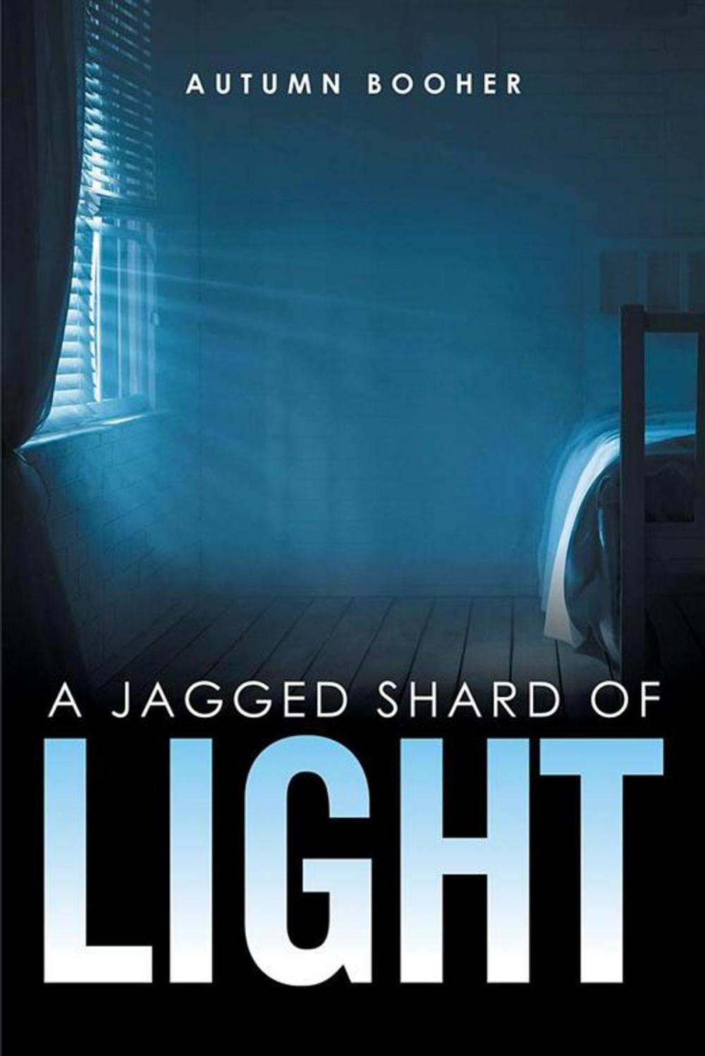 Big bigCover of A Jagged Shard of Light