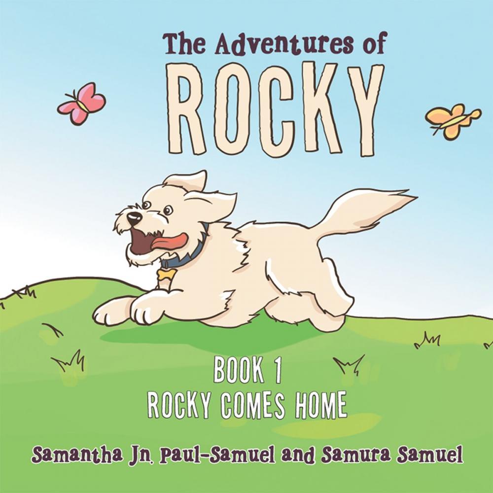Big bigCover of The Adventures of Rocky