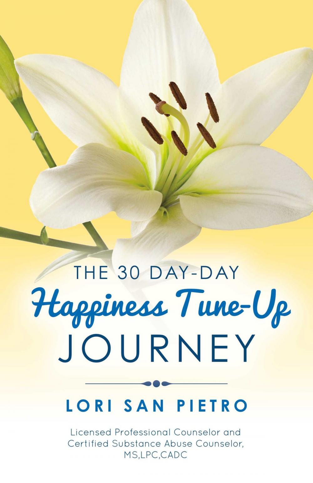 Big bigCover of The 30 Day-Day Happiness Tune-Up Journey