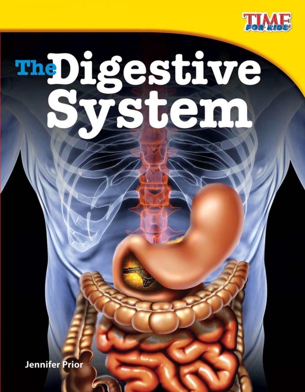 Big bigCover of The Digestive System