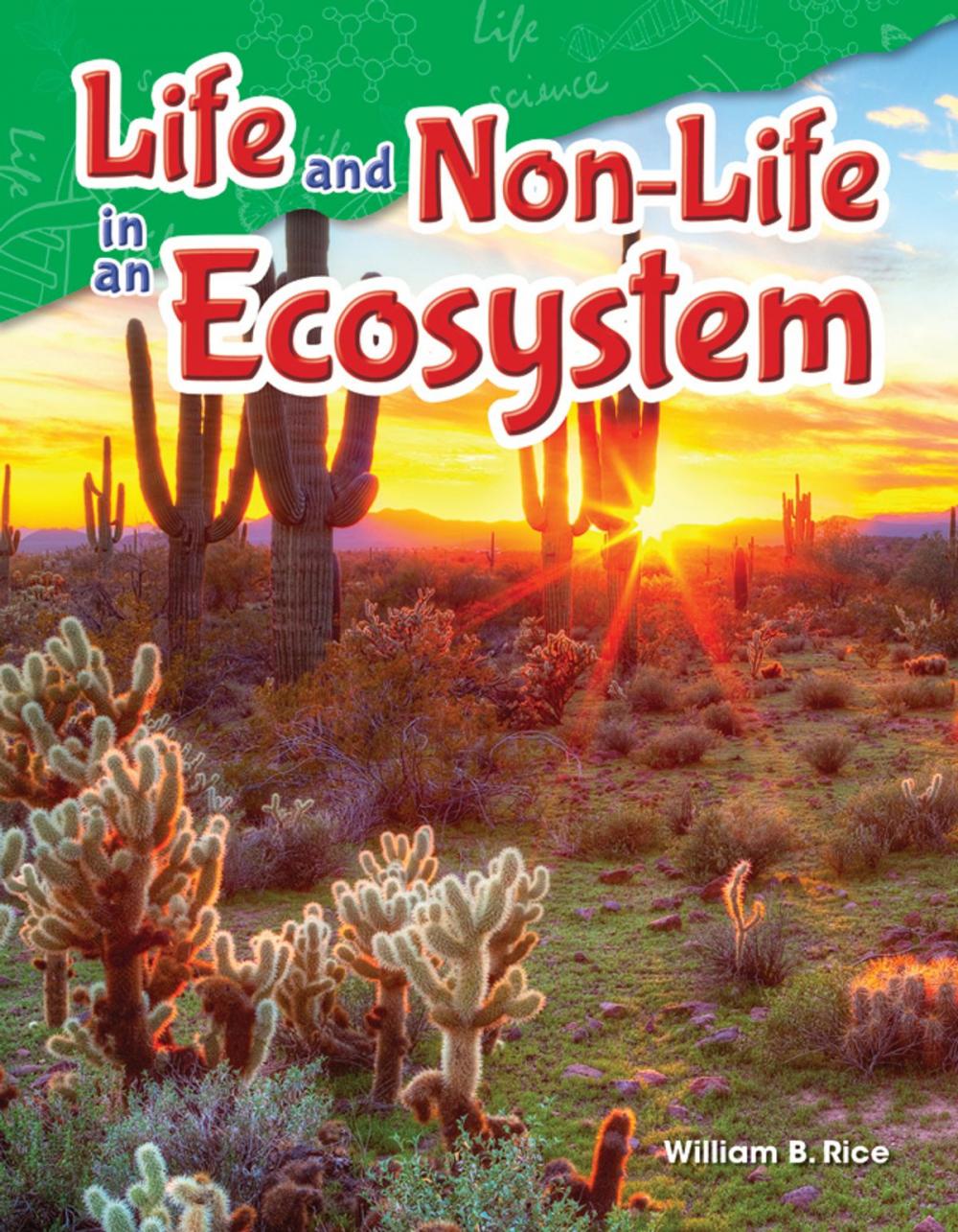 Big bigCover of Life and Non-Life in an Ecosystem