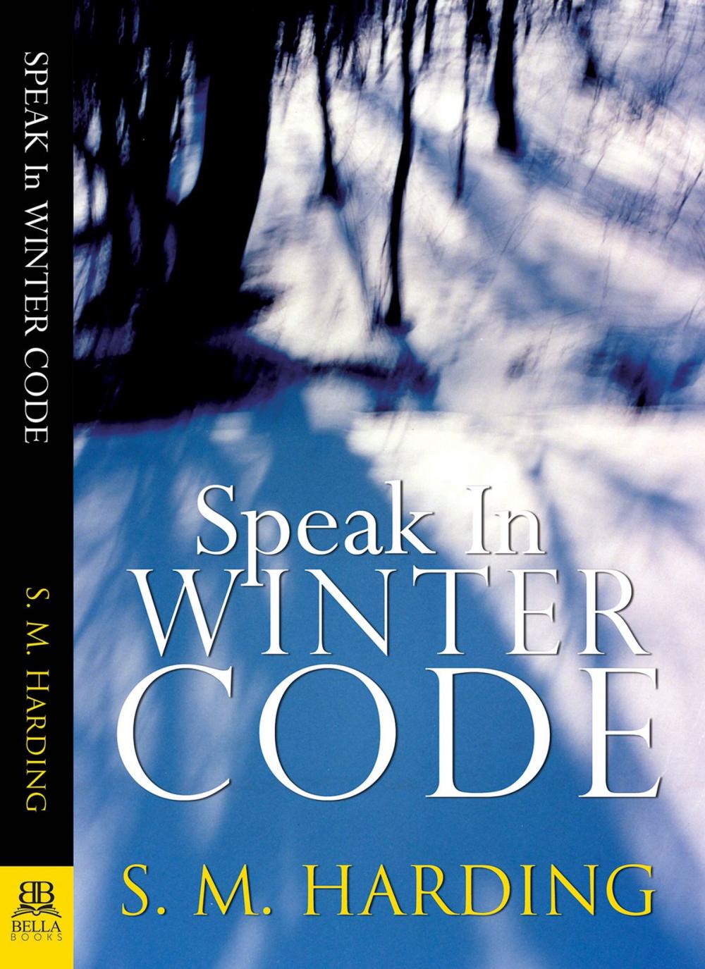 Big bigCover of Speak in Winter Code