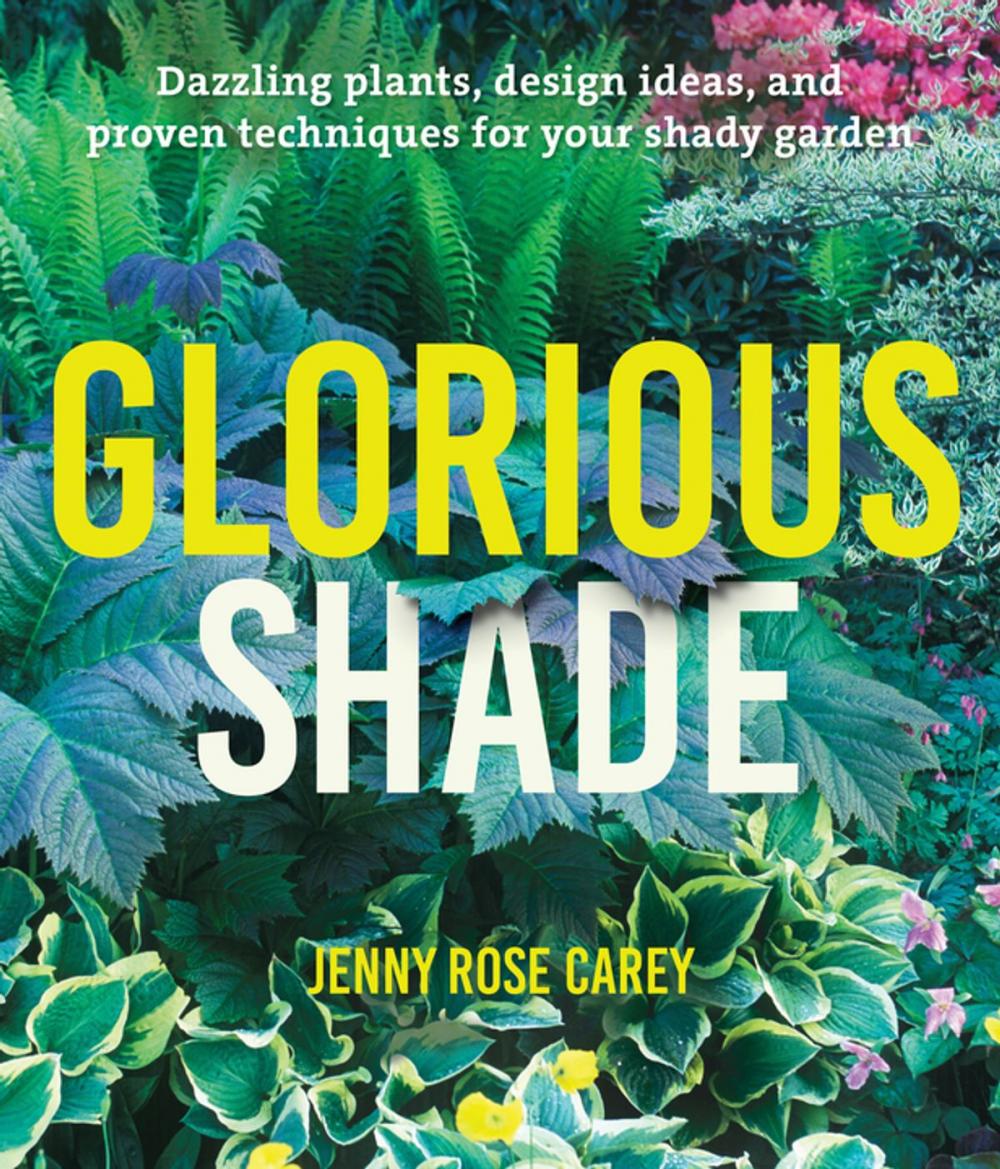 Big bigCover of Glorious Shade