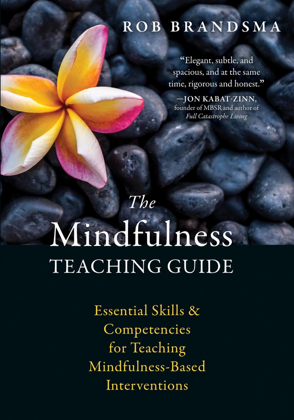 Big bigCover of The Mindfulness Teaching Guide
