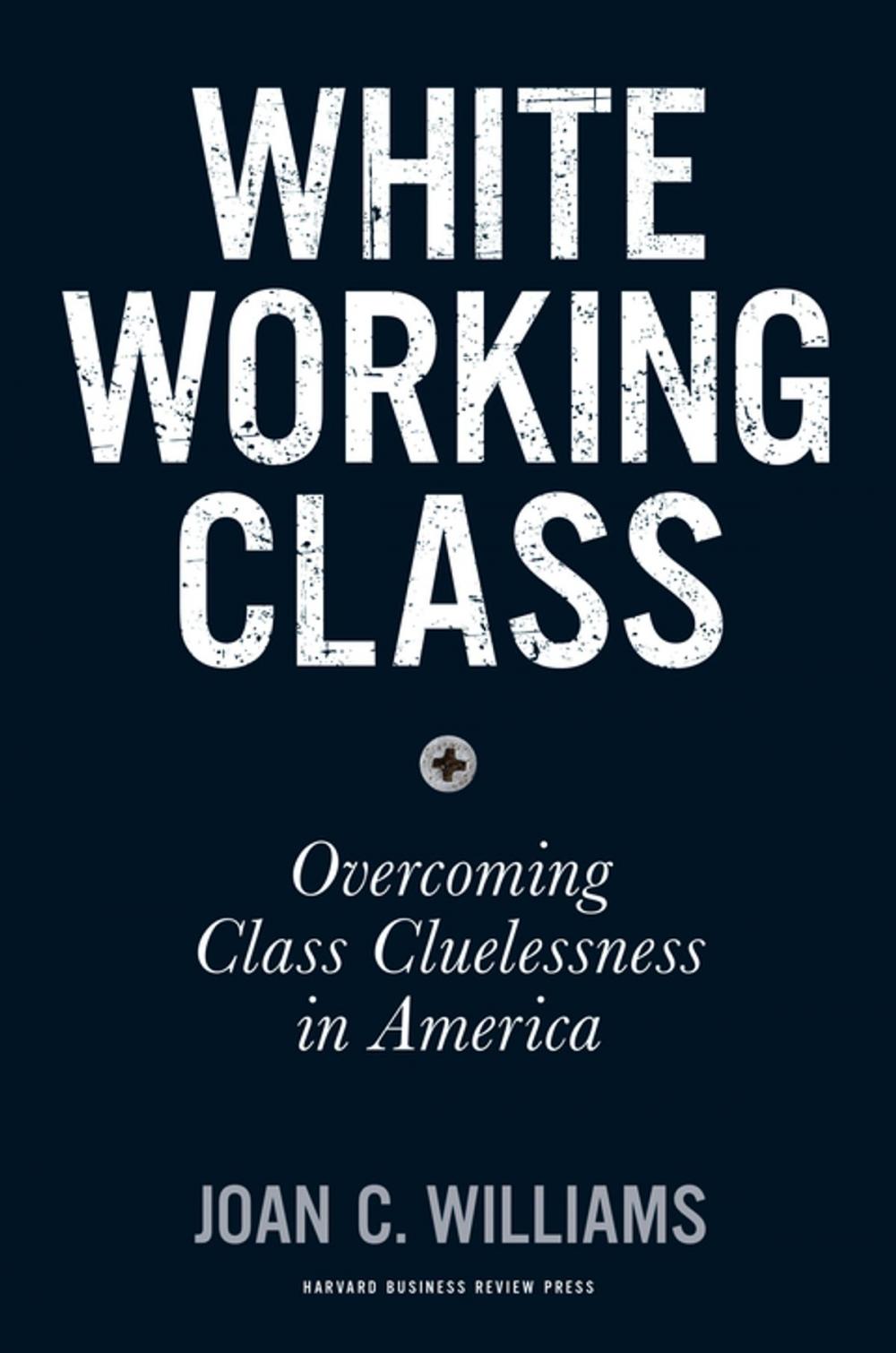 Big bigCover of White Working Class
