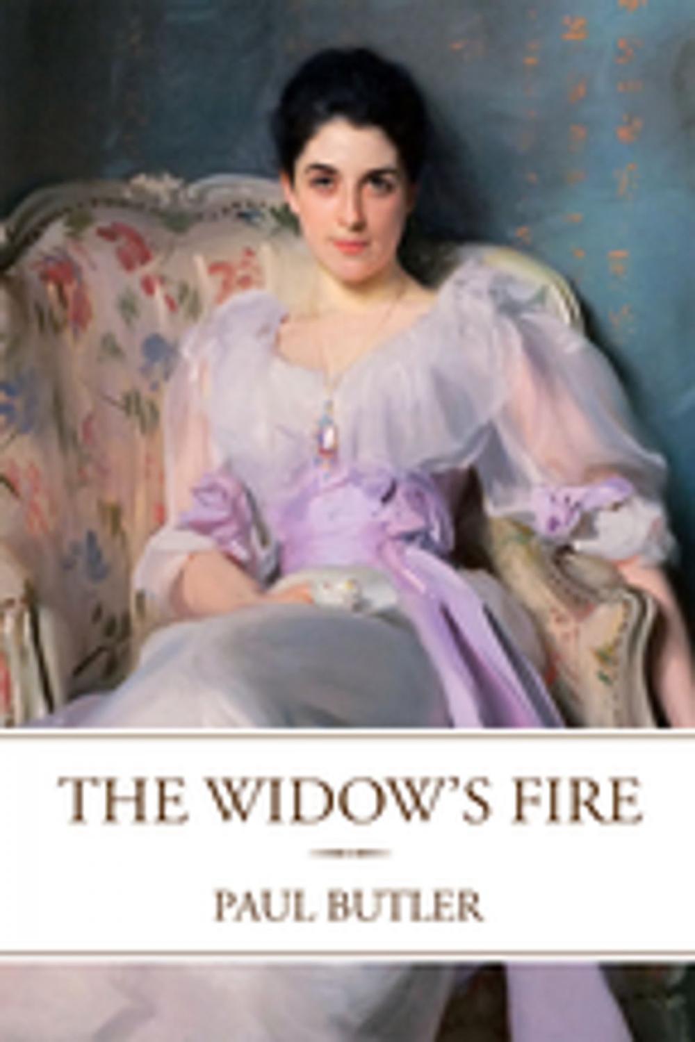 Big bigCover of The Widow's Fire