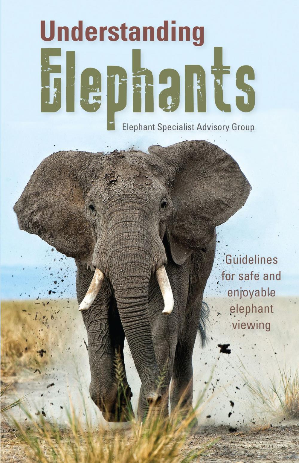 Big bigCover of Understanding elephants