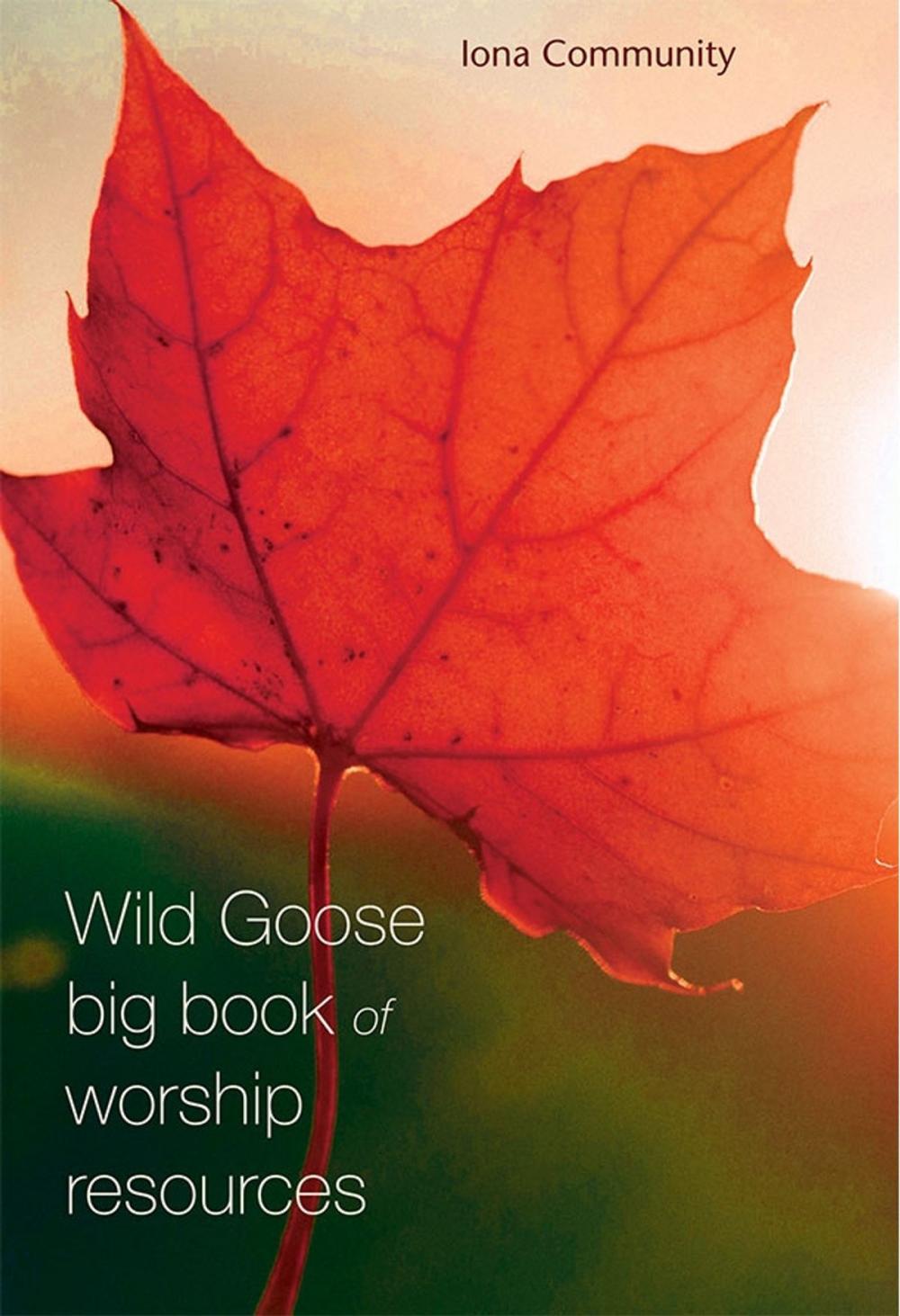 Big bigCover of Wild Goose Big Book of Worship Resources