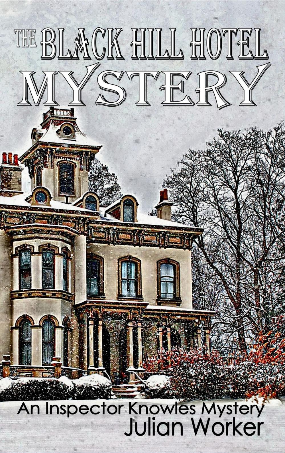 Big bigCover of The Black Hill Hotel Mystery