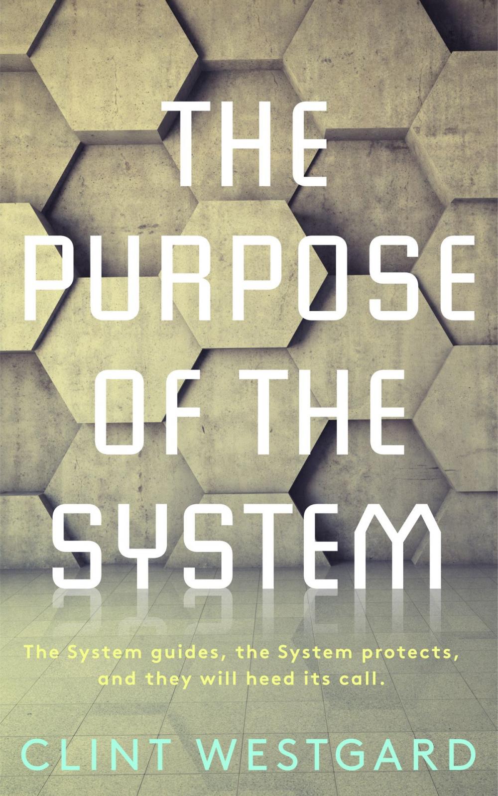 Big bigCover of The Purpose of the System