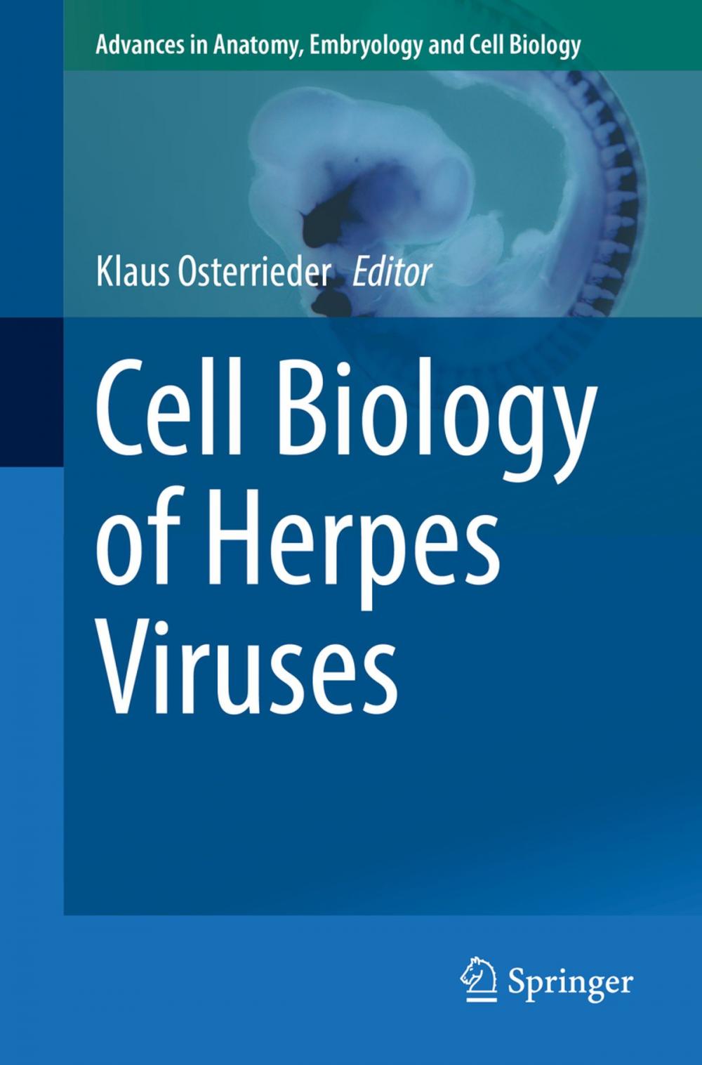 Big bigCover of Cell Biology of Herpes Viruses