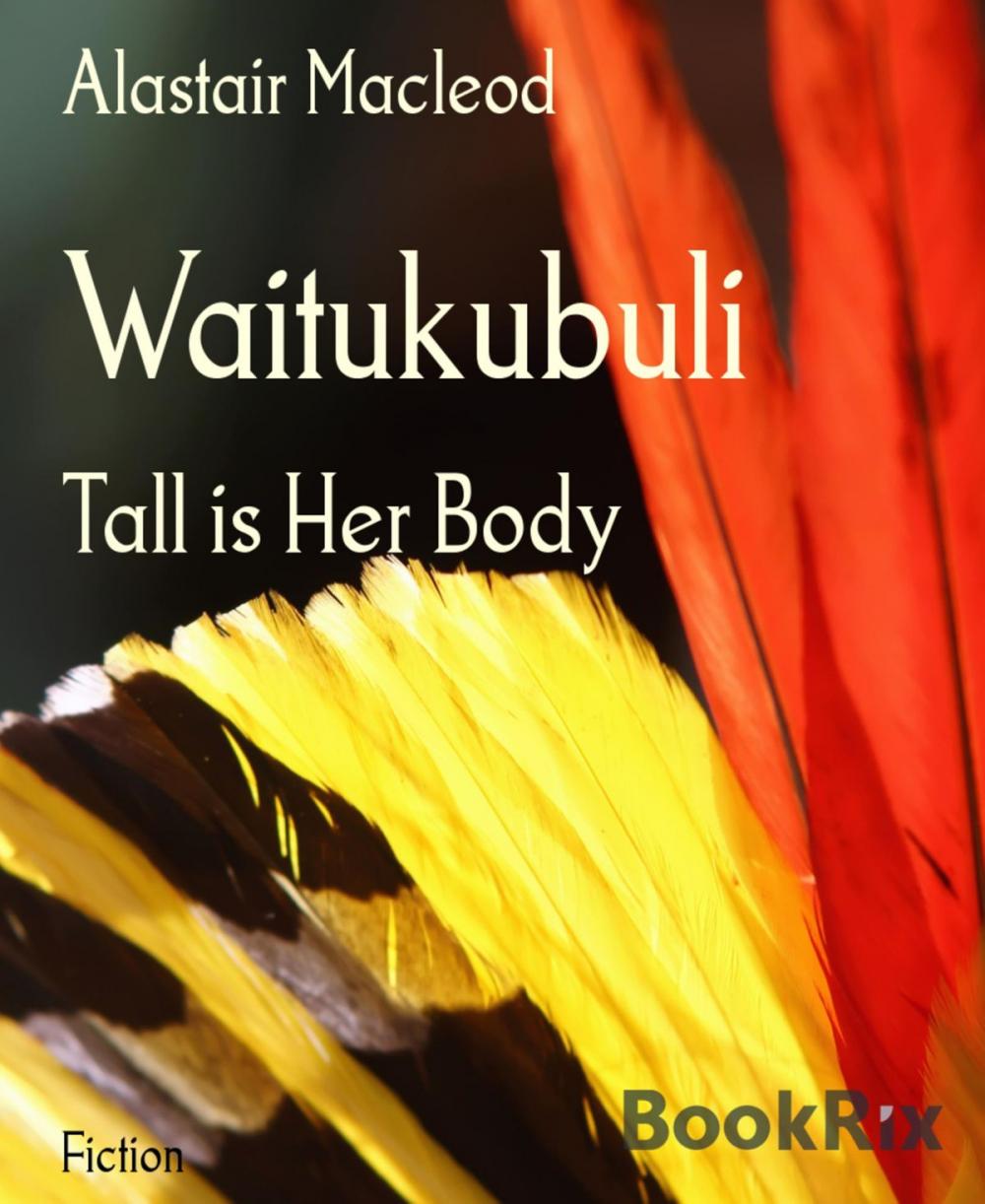 Big bigCover of Waitukubuli