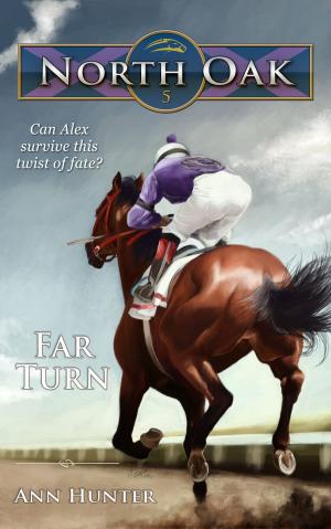 Cover of the book Far Turn by Michael Smart