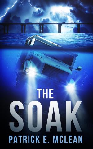 Book cover of The Soak