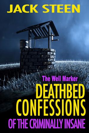 Book cover of The Well Marker
