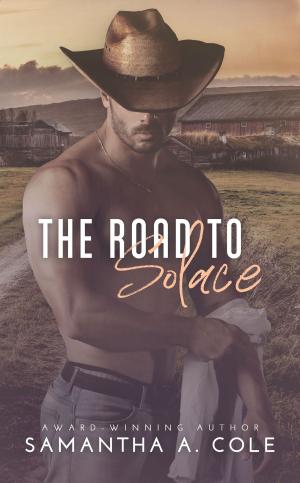 Book cover of The Road to Solace