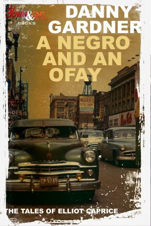 Cover of the book A Negro and an Ofay by Shawn Corridan, Gary Waid