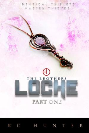Book cover of The Brothers Locke