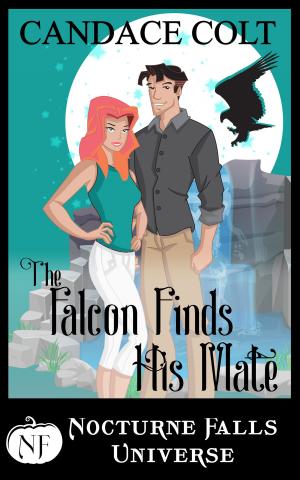 Cover of the book The Falcon Finds His Mate by Larissa Emerald