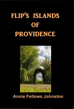 Cover of the book Flip's Islands of Providence by Benito Pérez Galdós