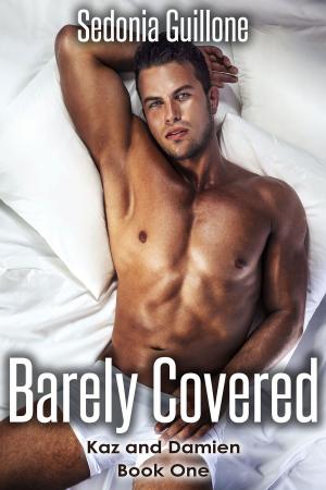 Cover of the book Barely Covered by Jyll Stonecypher