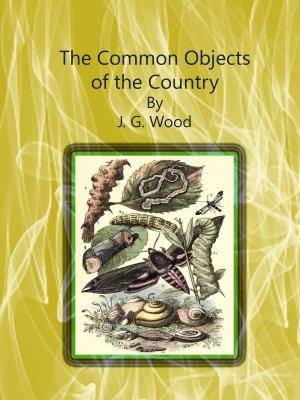 Cover of the book The Common Objects of the Country by Arthur E. Shipley