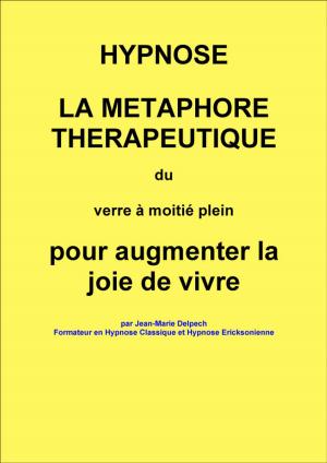Cover of La métaphore du verre à moitié plein