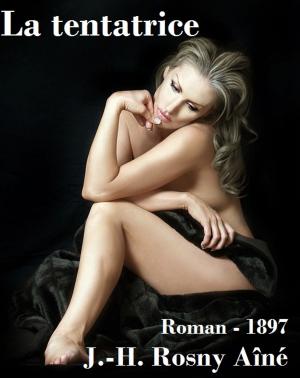 Cover of the book La tentatrice by Erica Monroe